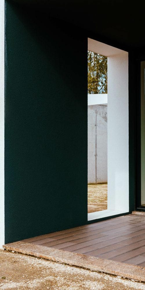 DSC_2905